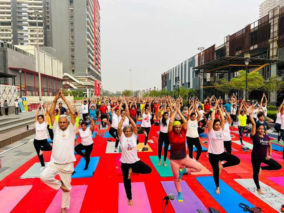 योग अभ्यास शिविर में ग्रेनो वेस्ट के लोगों ने उत्साह के साथ लिया हिस्सा